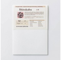 Awagami Shirakaba - 12 vel A4 teken- en etspapier 100gr/m²