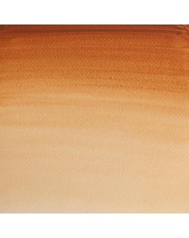 W&N Professional Water Colour - Brown Ochre (059)