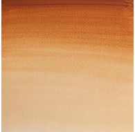 W&N Professional Water Colour - Brown Ochre (059)