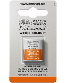 W&N Professional Water Colour - Burnt Sienna (074)