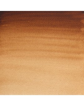 W&N Professional Water Colour - Burnt Umber (076)