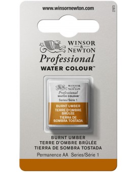 W&N Professional Water Colour - Burnt Umber (076)