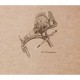 Flying Spirit kraft tekenschrift 15,5x15,5 cm - The art of camouflage