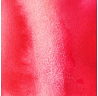 Lifting Preparation - aquarelmedium Winsor & Newton