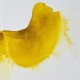 Ox Gall Liquid - aquarelmedium Winsor & Newton