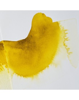 Ox Gall Liquid - aquarelmedium Winsor & Newton