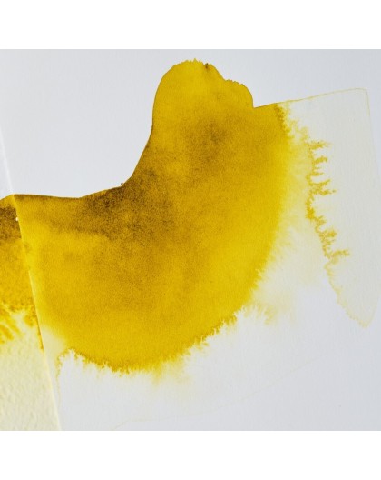 Ox Gall Liquid - aquarelmedium Winsor & Newton