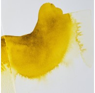 Ox Gall Liquid - aquarelmedium Winsor & Newton