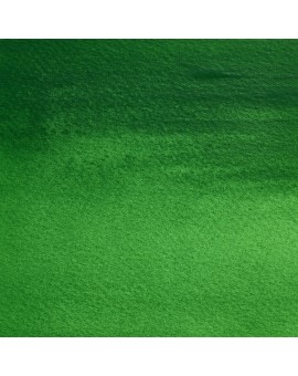W&N Professional Water Colour - Cinnabar Green (420)