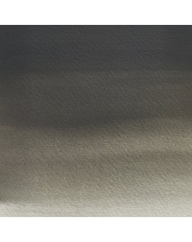 W&N Professional Water Colour - Ostwald Grey (428)