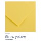 Straw Yellow 03 - Canson Iris Vivaldi
