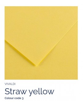 Straw Yellow 03 - Canson Iris Vivaldi