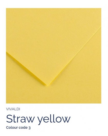 Straw Yellow 03 - Canson Iris Vivaldi