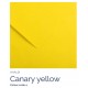 Canary Yellow 04 - Canson Iris Vivaldi