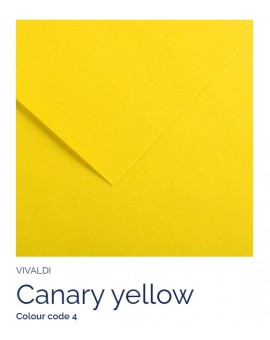 Canary Yellow 04 - Canson Iris Vivaldi