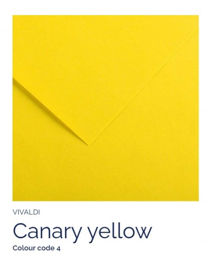 Canary Yellow 04 - Canson Iris Vivaldi