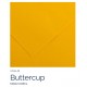 Buttercup 05 - Canson Iris Vivaldi