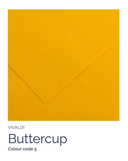 Buttercup 05 - Canson Iris Vivaldi