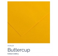 Buttercup 05 - Canson Iris Vivaldi vel 50x65cm