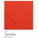 Tomato 14 - Canson Iris Vivaldi