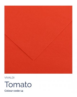 Tomato 14 - Canson Iris Vivaldi