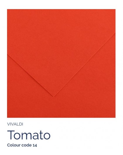 Tomato 14 - Canson Iris Vivaldi