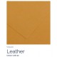 Leather 32 - Canson Iris Vivald