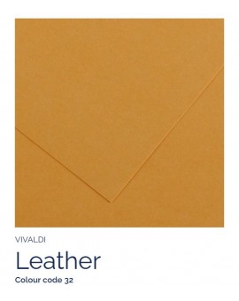 Leather 32 - Canson Iris Vivald
