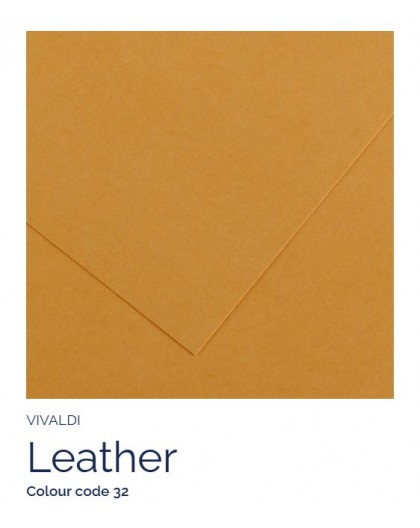 Leather 32 - Canson Iris Vivald