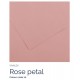 Rose Petal 10 - Canson Iris Vivaldi