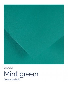 Mint green 87 - Canson Iris Vivaldi