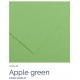Apple green 27 - Canson Iris Vivaldi