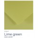 Lime green 88 - Canson Iris Vivaldi