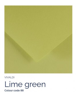 Lime green 88 - Canson Iris Vivaldi