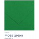 Moss green 30 - Canson Iris Vivaldi