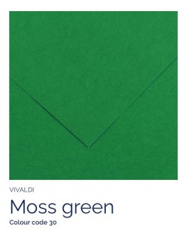 Moss green 30 - Canson Iris Vivaldi