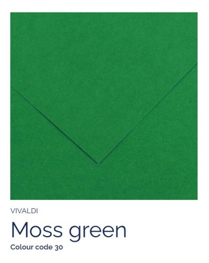Moss green 30 - Canson Iris Vivaldi