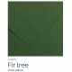 Fir tree 31 - Canson Iris Vivaldi