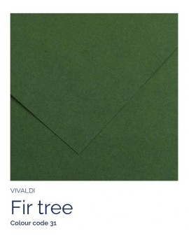 Fir tree 31 - Canson Iris Vivaldi vel 50x65cm