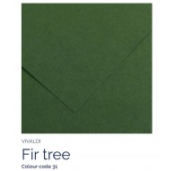 Fir tree 31 - Canson Iris Vivaldi vel 50x65cm