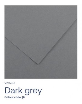 Dark Grey 36 - Canson Iris Vivaldi