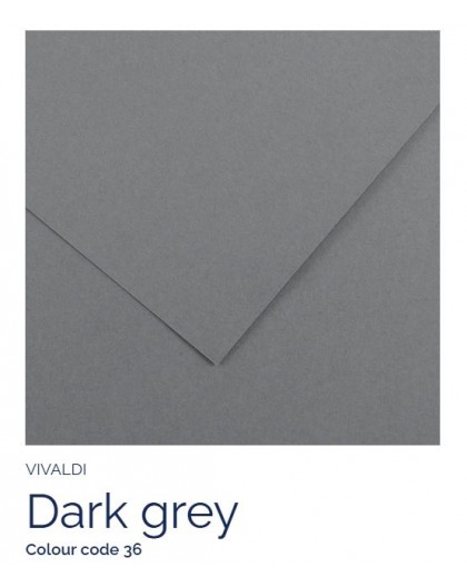 Dark Grey 36 - Canson Iris Vivaldi
