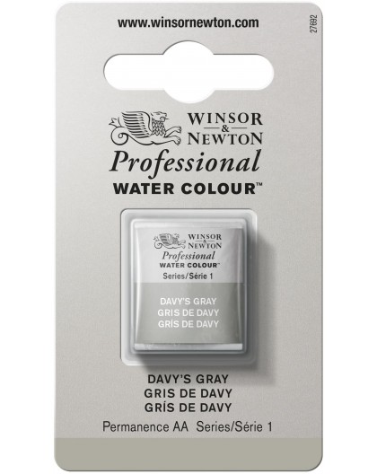 W&N Professional Water Colour - Davy's Gray 1/2 napje