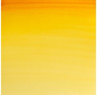 W&N Professional Water Colour - New Gamboge (267)