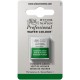 W&N Professional Water Colour - Hookers Green 1/2 napje