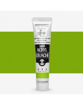 Turner Japanesque Green Light 343