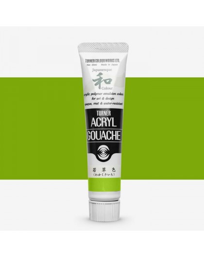 Turner Japanesque Green Light 343