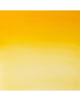 Indian Yellow - W&N Professional Water Colour