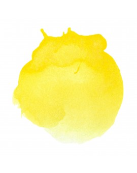 Cadmium Yellow Light hue - Professional Acrylic Ink