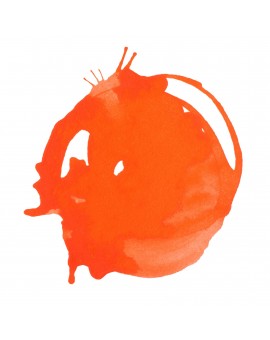 Bright Orange - Professional Acrylic Ink